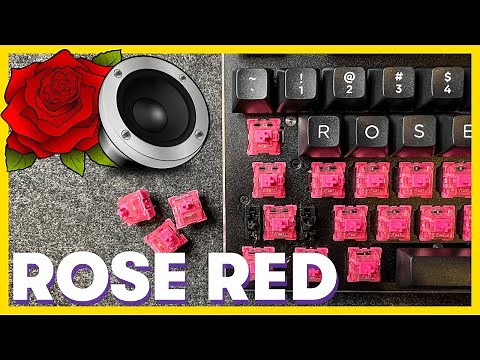 Akko ROSE RED Switches Sound Test // Lubed vs Stock (and unboxing)