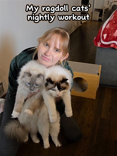 Endless Zoomies: Yoshi's Fun Running Escapade