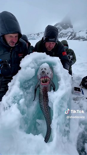 frozen mermaids discovered in antarctica #mermaid #siren #cryptid | sirens