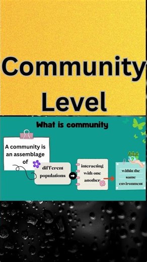 How populations create community#umair khan