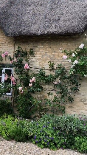 This Charming English Cottage Looks Like a Fairytale🏡#england #englishcountryside#usashorts #travel