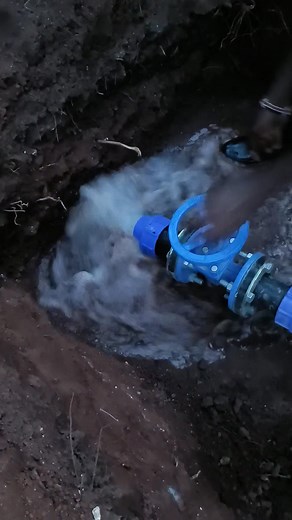 1.8K views · 33 reactions | Testing testing ☺️ | Malooi Youth Demonstration Farm | Facebook