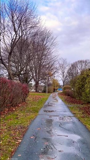 Gentle Rain and Leaves Rustling – Deep Sleep Audio #asmrnature #rainsounds #sleepmusic