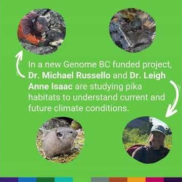 What do cute critters have to do with genomics?
