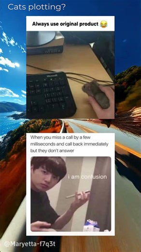 Real mouse as computer mouse