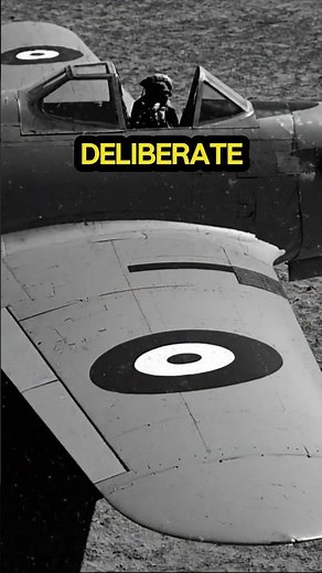 Why Italian Fighter Planes Broke the Most Sacred Rule of Aviation