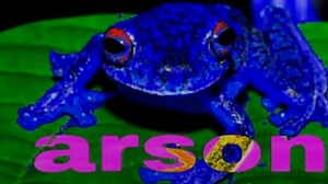 Arson Frog | Know Your Meme