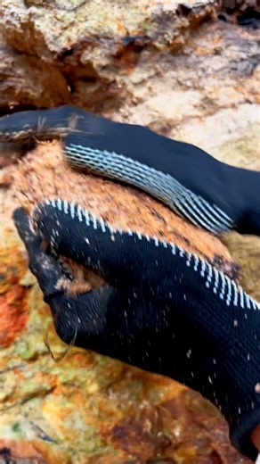 18K views · 140 reactions | I found a black wood fossil stone inside. #woodfossil #stone #blackwood #blackstone #hunting #treasuresearch #gemstone #goldmine #adventure #huntinggemstone #nature | Jonnaidi Jhon Diamond | Facebook