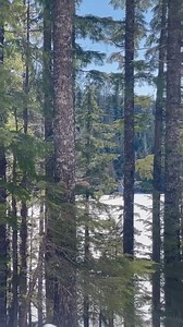 4.8K views · 99 reactions | Yesterday’s view  It won’t be long! The countdown is on. Opening day is May 6, 2024. Memories await! Lost Lake Resort, Mt Hood, Oregon Cabins, yurts, lodge rooms, boat rentals, fishing, hiking & more. www.lostlakeresort.org   ☀️   量  | Lost Lake Resort & Campground | Facebook