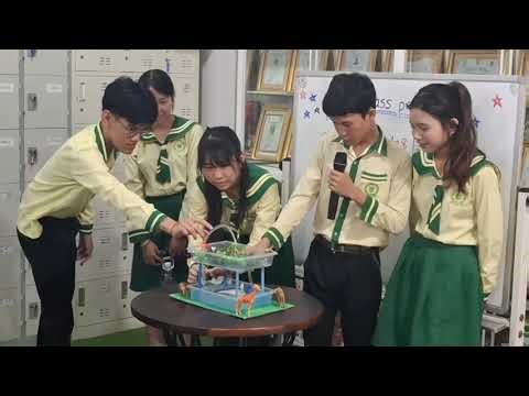 Hydroponic Farming Working Model