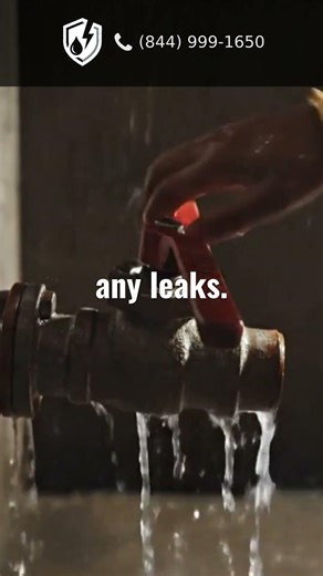 Indoor Humidity Too High? Mold Starts at This Level