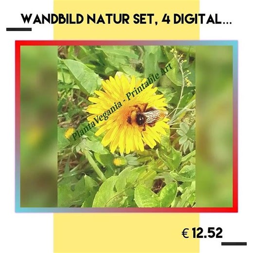 Wandbild Natur Set, 4 Digital Download Poster, Blumen Wandbilder Wildblumen Pusteblume, Gräser, W…