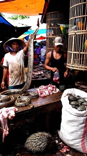 Eating The World's WILDEST Street Food (You Won't Believe This)