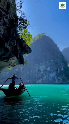 ✨ Discover the Magic of Halong Bay! Step aboard with Halong Bay Cruises and explore one of the world’s most breathtaking natural wonders. Sail past limestone karsts, hidden caves, and emerald waters — all while enjoying fine dining and warm Vietnamese hospitality. 🌅 Unwind, explore, and fall in love with Vietnam’s most iconic destination. 📩 For inquiries and bookings, please contact us: _________________________________________ 💬 Email: info@halongbaycruises.org ☎️ Hotline: ( 84) 584 859 859 