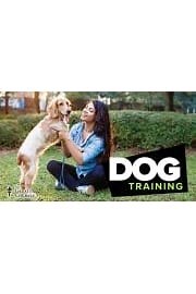 Watch Dog Training 101 Season 1 Episode 11 - Fear and Aggression Prevention