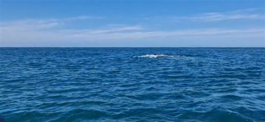 We 﫶 Whale Watching in Mossel Bay! This whale season is full of unforgettable memories and splashes, and we’re not stopping.   Haven’t joined us yet? There’s still time! Already been? Come make more memories with us! #takemewhalewatching #whalewatching #mosselbaymoments #FamilyFun #mosselbayboatadventures #thingstodoinmosselbay | Mossel Bay Boat Adventures | Facebook