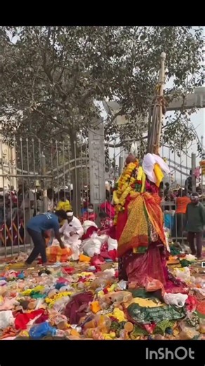 సమ్మక్క సరళమ్మ జాతర చూదాం రండి 🙏🙏🙏🙏🙏🙏🙏🙏🙏