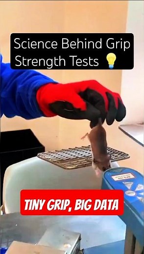 Digital Force Gauge vs Mouse: The Scientific Strength Test