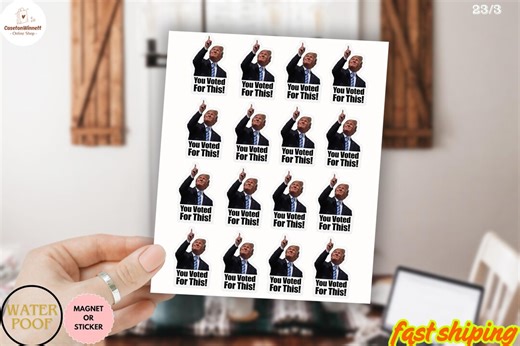 You Voted for This Stickers Pack, Funny Political Satire Humor, Gas Prices Decal, Trump Did That - Etsy