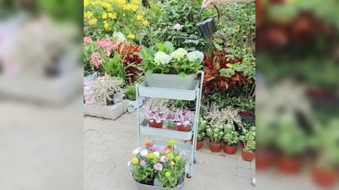 TRENDnet USB 3.0 to Gigabit Ethernet Adapter, Full Duplex 2Gbps Ethernet Speeds, Up to 1Gbps, USB to Gigabit Ethernet Adapter, USB-A, Windows Compatible, USB Powered, Black, TU3-ETG