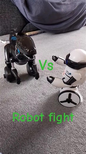 Robot fight...Mip Vs Miposaur #robot #fighting #wowwee