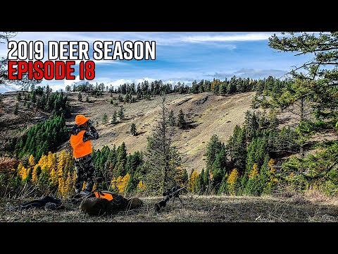 The Biggest Buck I've Ever Seen - Washington Public Land Giant | 2019 Hunting Season EP.18