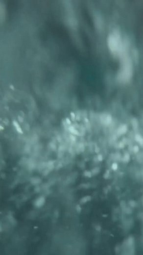 A U-boat is approaching #movies #movieclips #WWII #MilitaryMovies #WarMovie | Action Movies News