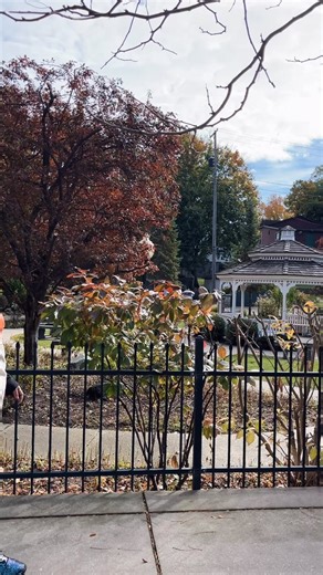 1.8K views · 22 reactions | New menu starts today! 拾 Walk on down for lunch this week and try our new menu items... ️ We're open Tuesday-Saturday from 10:30am to 2:30pm and we'd love to serve you! | Love Café | Facebook