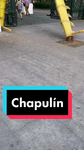 Homenaje a los Chapulines: ¡Memes y Más!