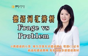 【德语词汇辨析】Frage vs Problem