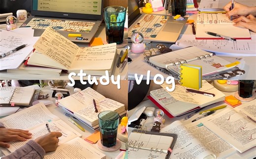 STUDY VLOG｜周末宅家学习·沉浸式上课·动力向·study with me