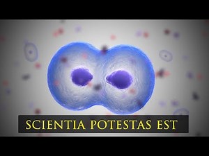 Frequency Therapeutics FX-322 Mechanism Demo (2019)