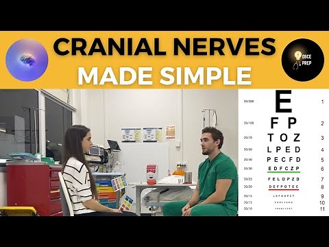 Cranial Nerve Examination: OSCE Prep