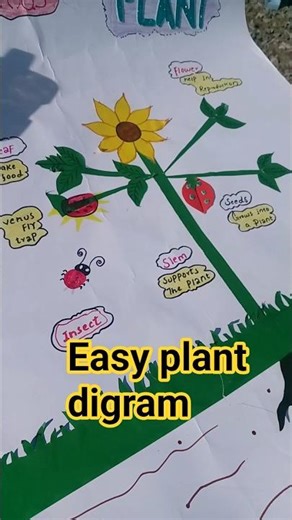 Parts of a Plant &Insectivorous PlantsDrawinng#ScienceProject#DrawingForKids#SchoolProject#Education