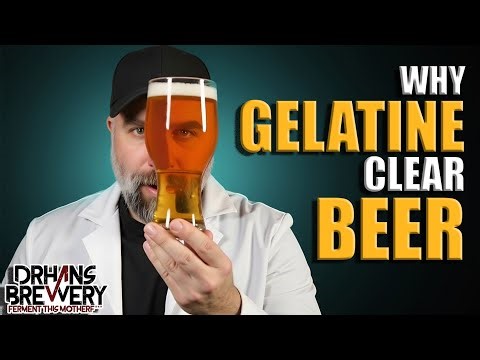 The Science Behind Why Gelatin Clears Beer - Ask the Doctor Ep. 9