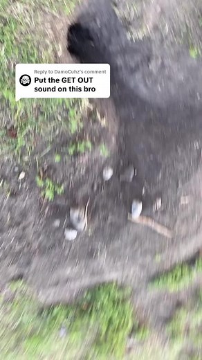 Yelling Meme Compilation | Funny Get Out Moments