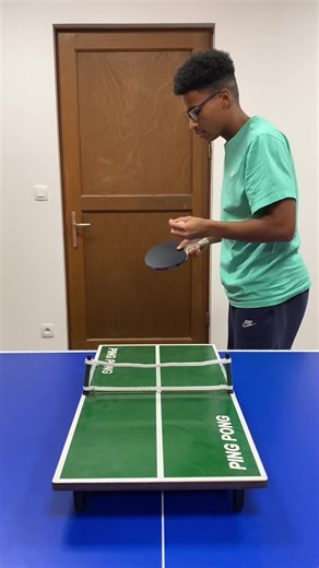 Ping Pong Challenge Fun