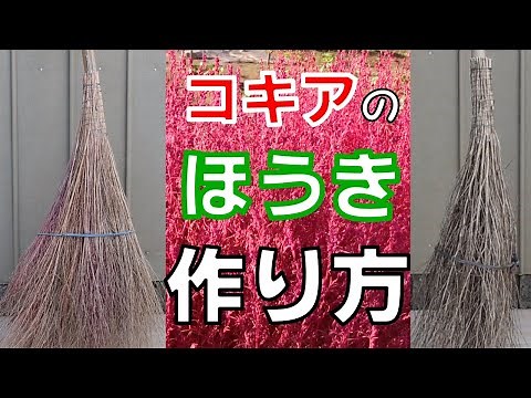 [コキアのほうき 作り方] ２種類 コキア(ホウキ草)のホウキの作り方 リクエストありがとうございます