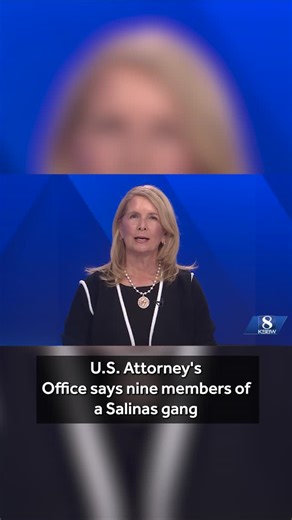 KSBW on Instagram: "A federal grand jury has indicted nine defendants in a new case tied to the Salinas Acosta Plaza gang as part of a continued crackdown that began with a major 2024 RICO case in which 11 people were charged. Three of the nine defendants named in the new indictment were also charged in the 2024 case. These nine defendants were indicted in the Northern District of California for allegedly taking part in a racketeering conspiracy to promote the aims of the Salinas Acosta Plaza ga