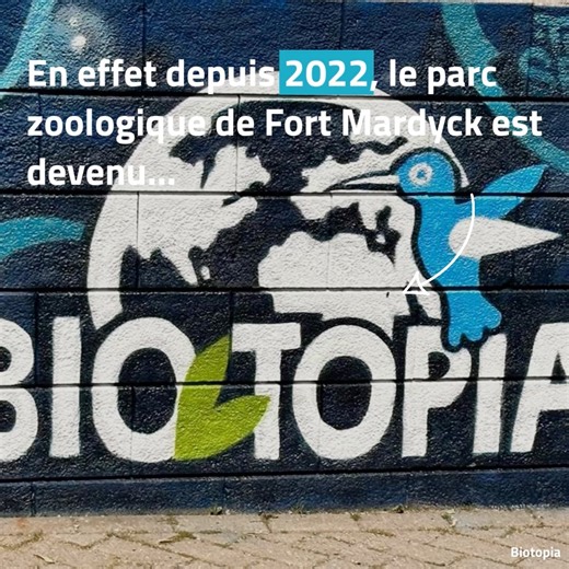 PROFITEZ D'UN WEEK-END EXCEPTIONNEL À BIO-TOPIA ! Bio-Topia fête la naissance des 2 bébés pandas roux les 23 et 24 septembre et organise un week-end de sensibilisation à la conservation de cette espèce menacée ! ➡️ Programme des animations sur https://www.bio-topia.fr/en-ce-moment/actualites/vue-detaillee/week-end-conservation-panda-roux ➡️ Tarif : 1,50€ pendant tout le week-end. ➡️ Le parc est ouvert de 9h45 à 17h30 (fermeture des caisses à 16h45) | Ville de Dunkerque