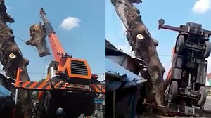 Kran fällt um im Duell mit einem Baum in Indonesien