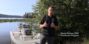 Bass management in Washington