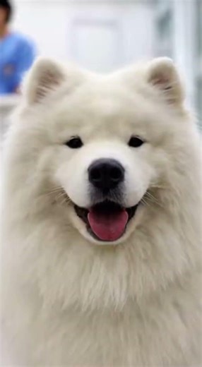 Before & After: Animals Growing Up | Amazing Animal Transformation 💥