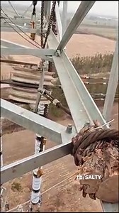 122K views · 263 reactions | Top 10 Amazing Things You Never Seen Before | Akul Balaji | Facebook