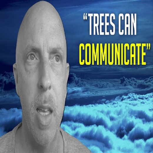 Man Dies And Is Shown Our True Connection To Nature During Incredible NDE | NDE Stories