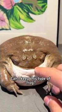 Can I keep this type of frog?