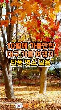 10월에 가야하는 가을 여행지 단풍 명소 모음 | 국내여행추천, 대구가볼만한곳, 대구여행지추천