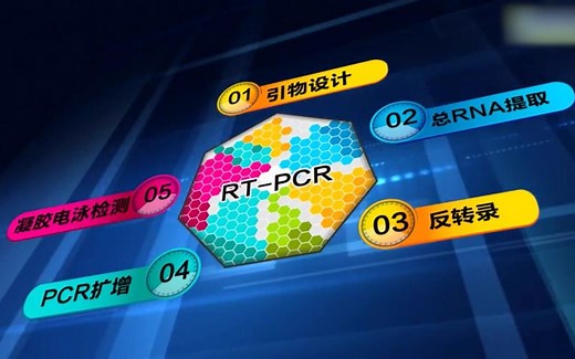 【生物科研视频教程】反转录聚合酶链反应RT-PCR