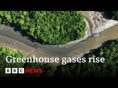 Greenhouse gases rising at record levels, UN says | BBC News
