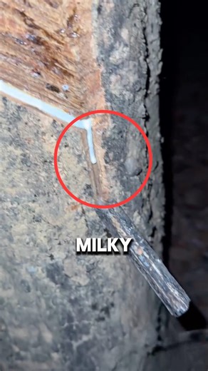 People Were Shocked To Learn How Rubber Is Made